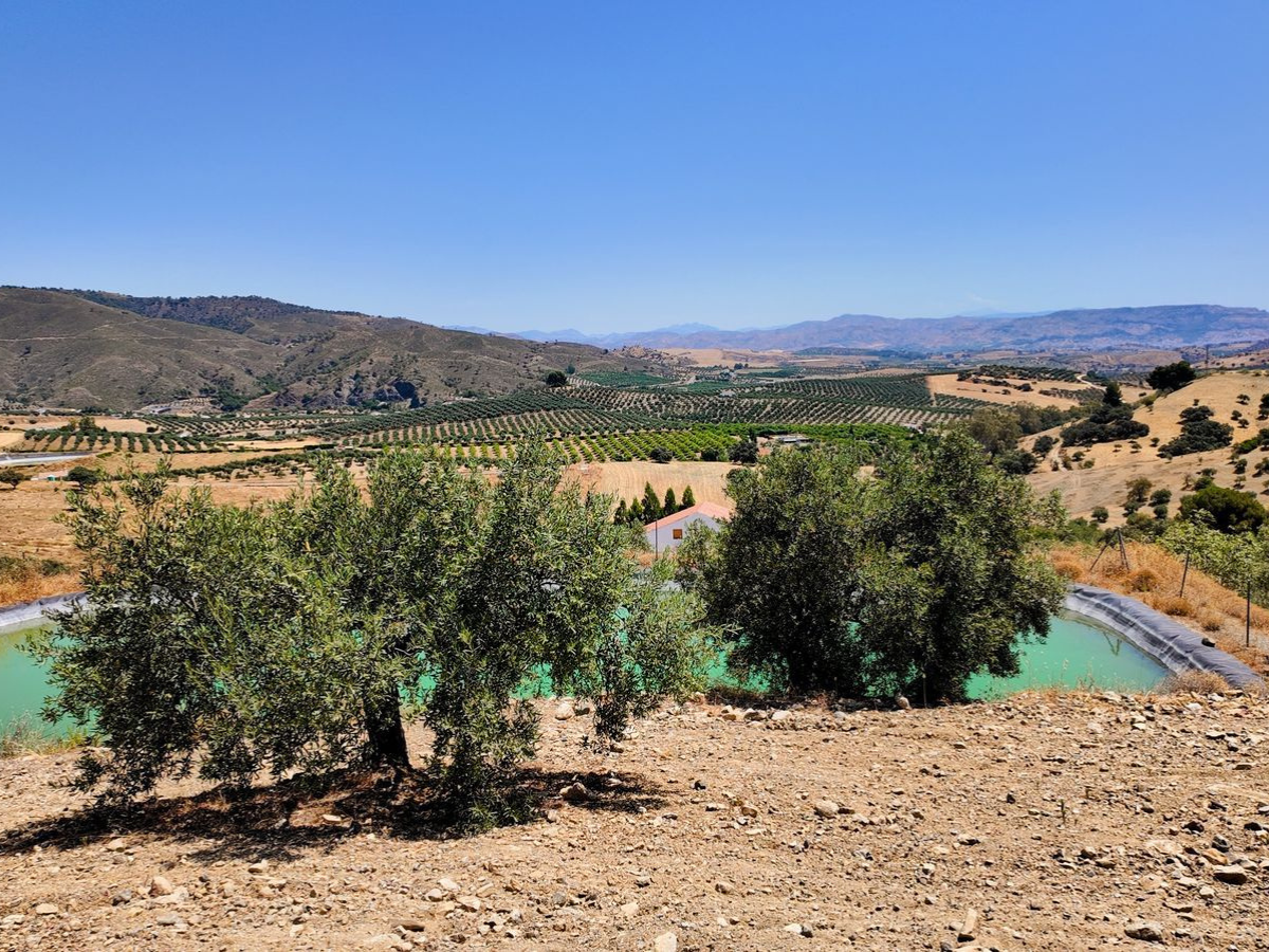 PROPIEDADES H - TITULO (11)