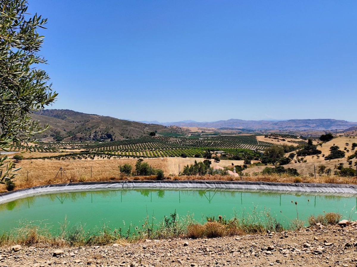 PROPIEDADES H - TITULO (12)