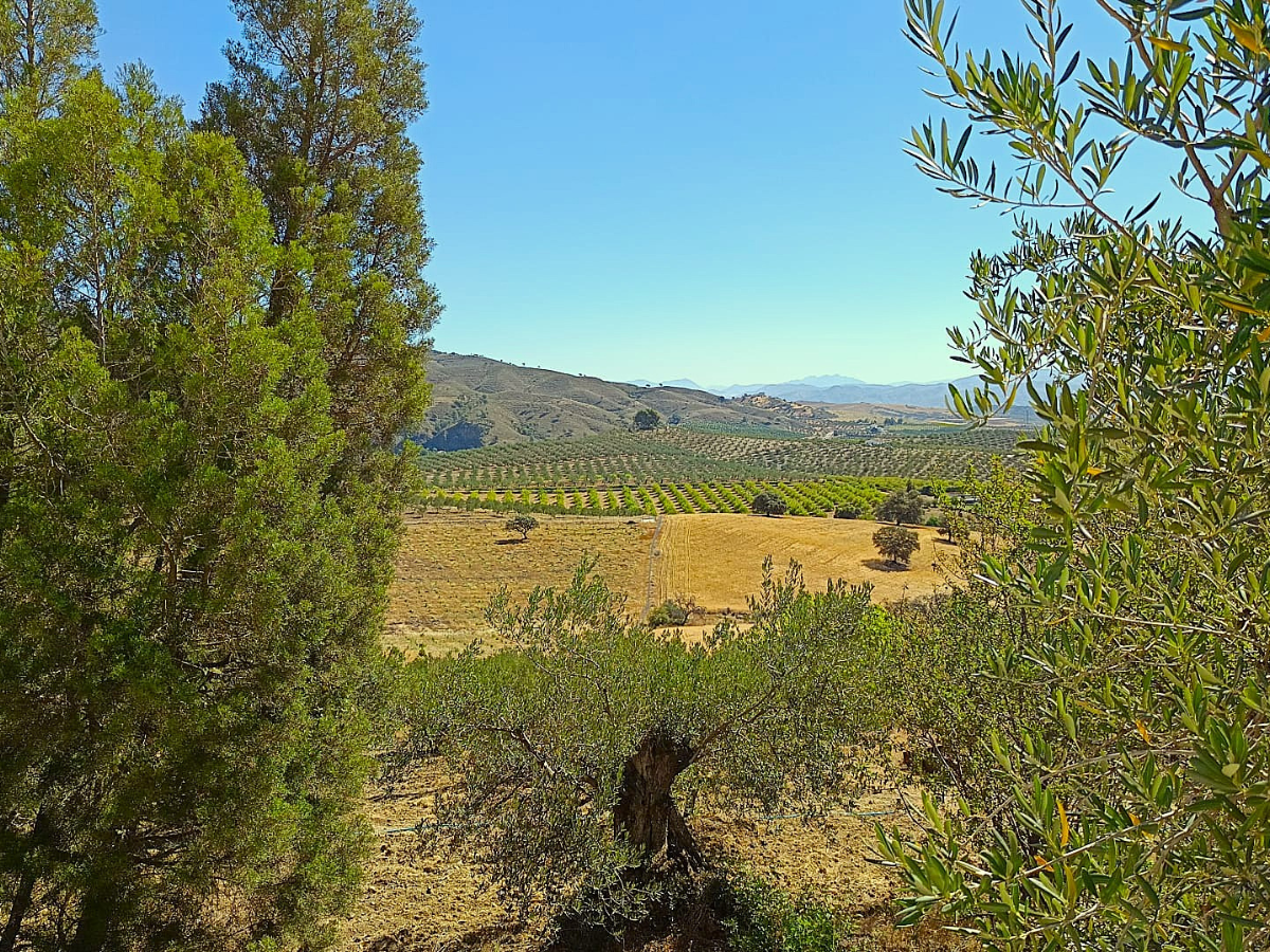 PROPIEDADES H - TITULO (13)