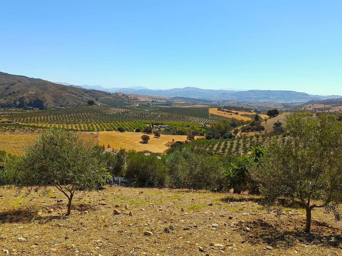 PROPIEDADES H - TITULO (20)