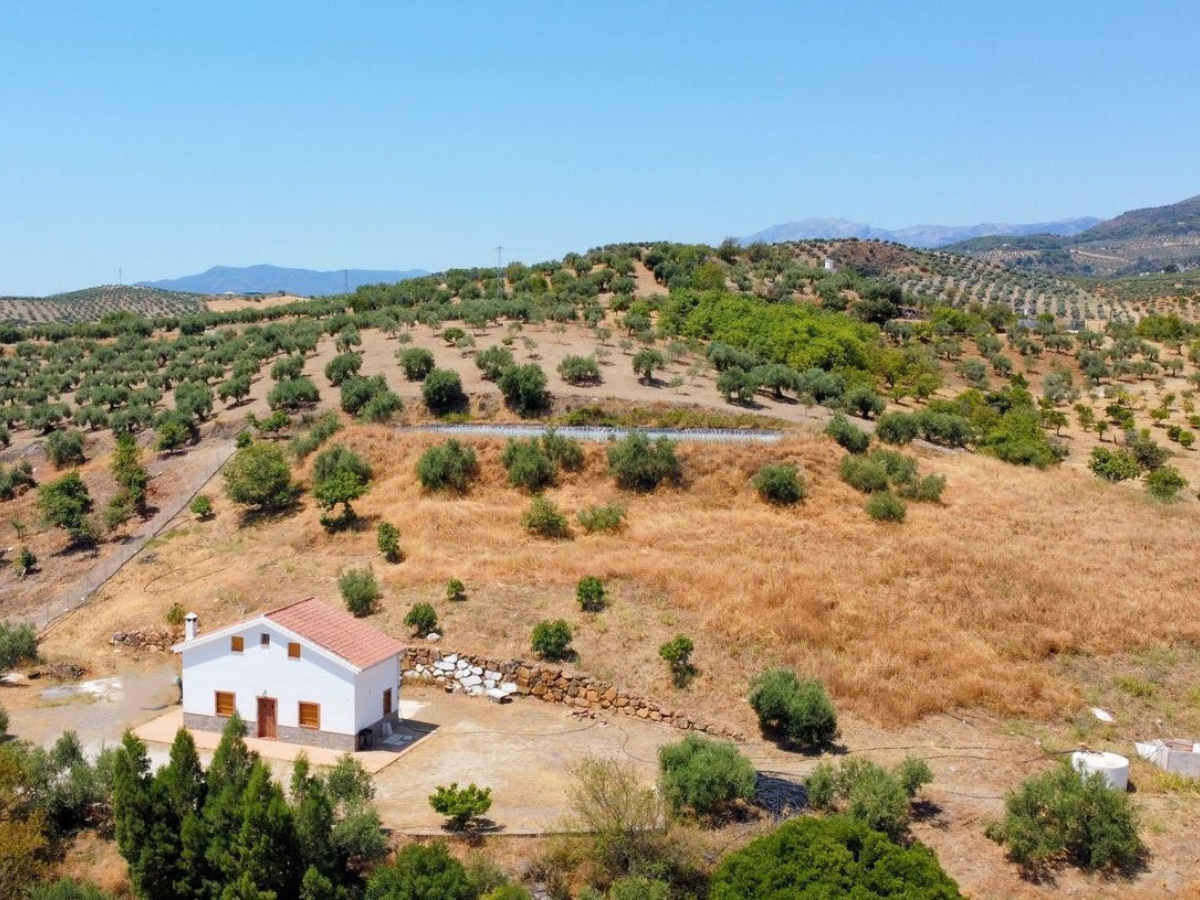 PROPIEDADES H - TITULO (6)