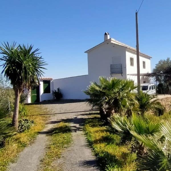 Nos casa de campo