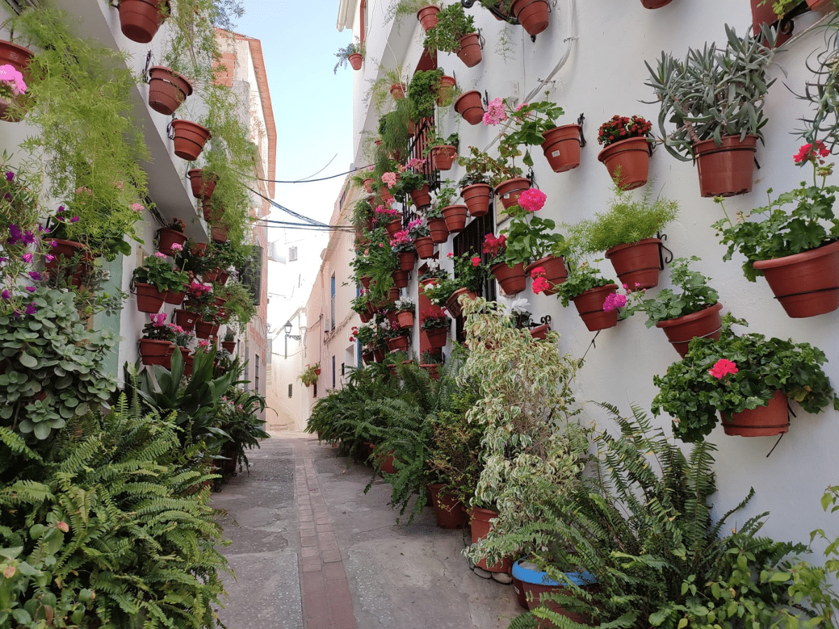imagenes blog Casarabonela Casarabonela: Un pueblo andaluz donde la tradición y la naturaleza se abrazan