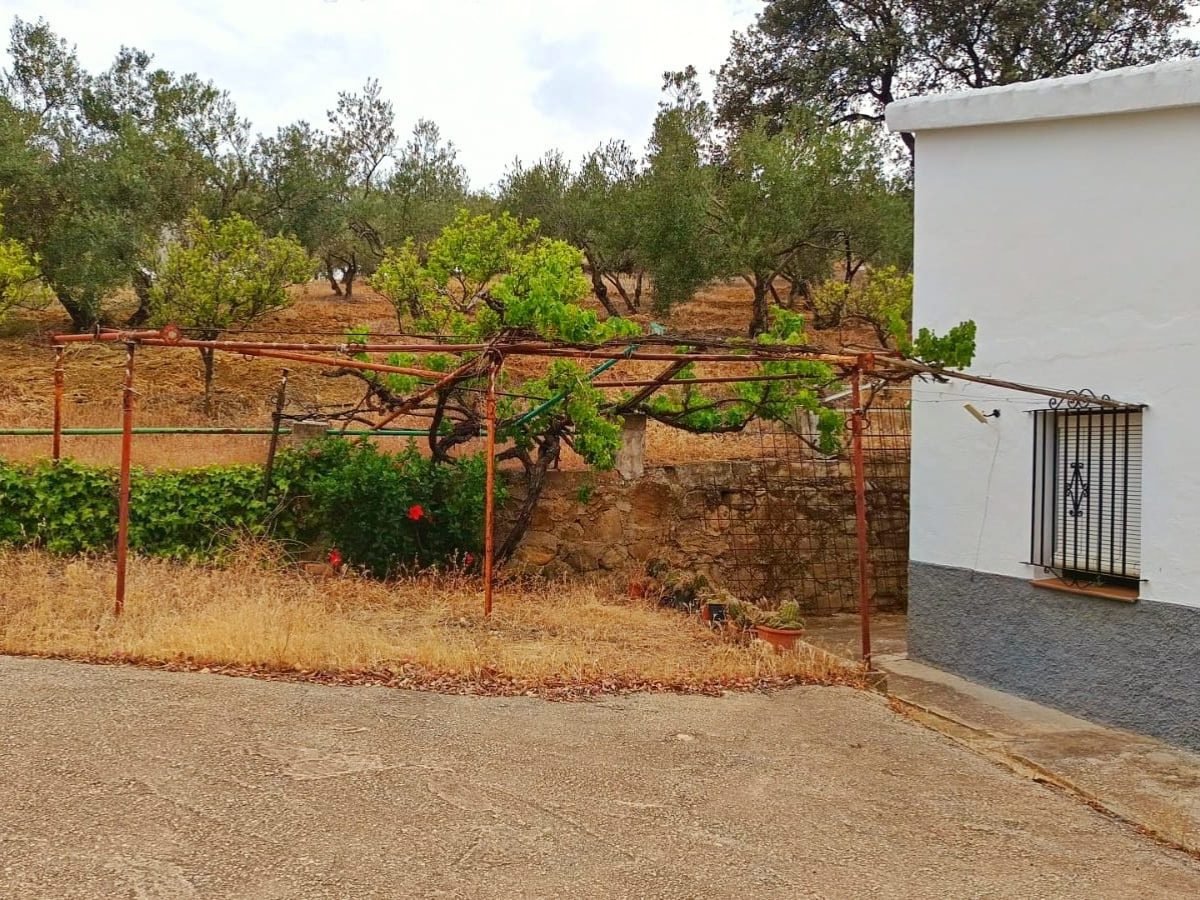 PROPIEDADES H - TITULO (50)