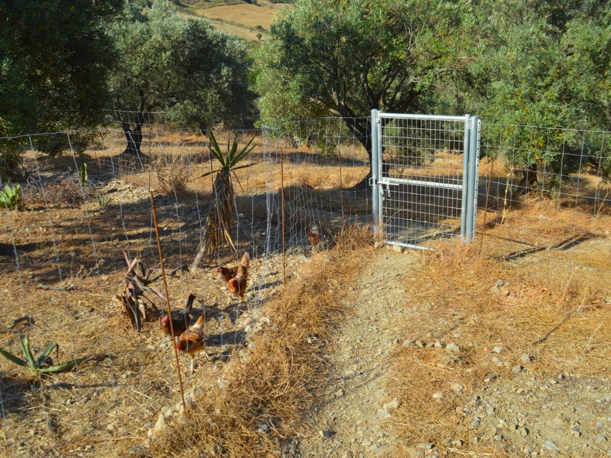 PROPIEDADES H - TITULO (15)