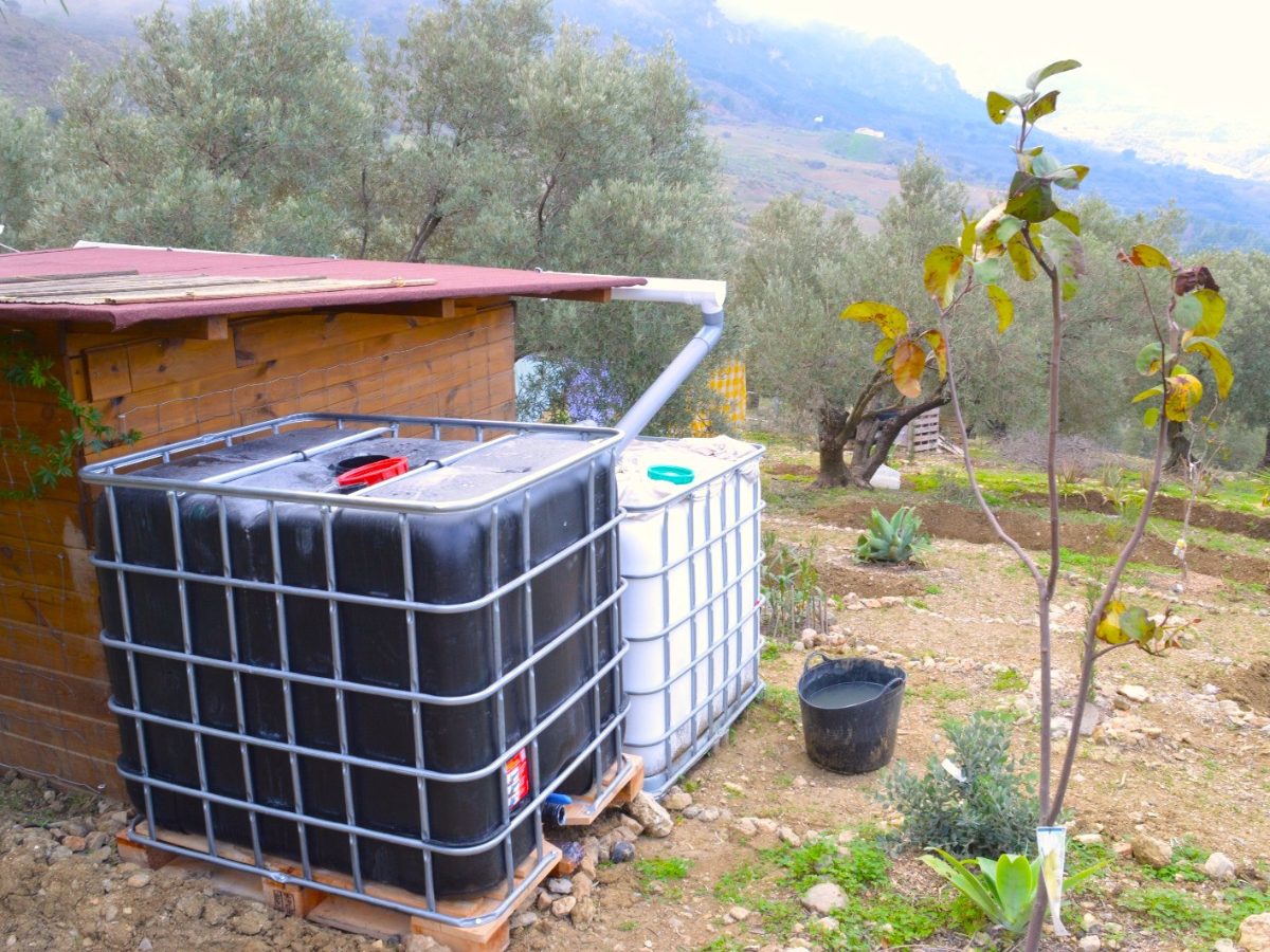 PROPIEDADES H - TITULO (19)