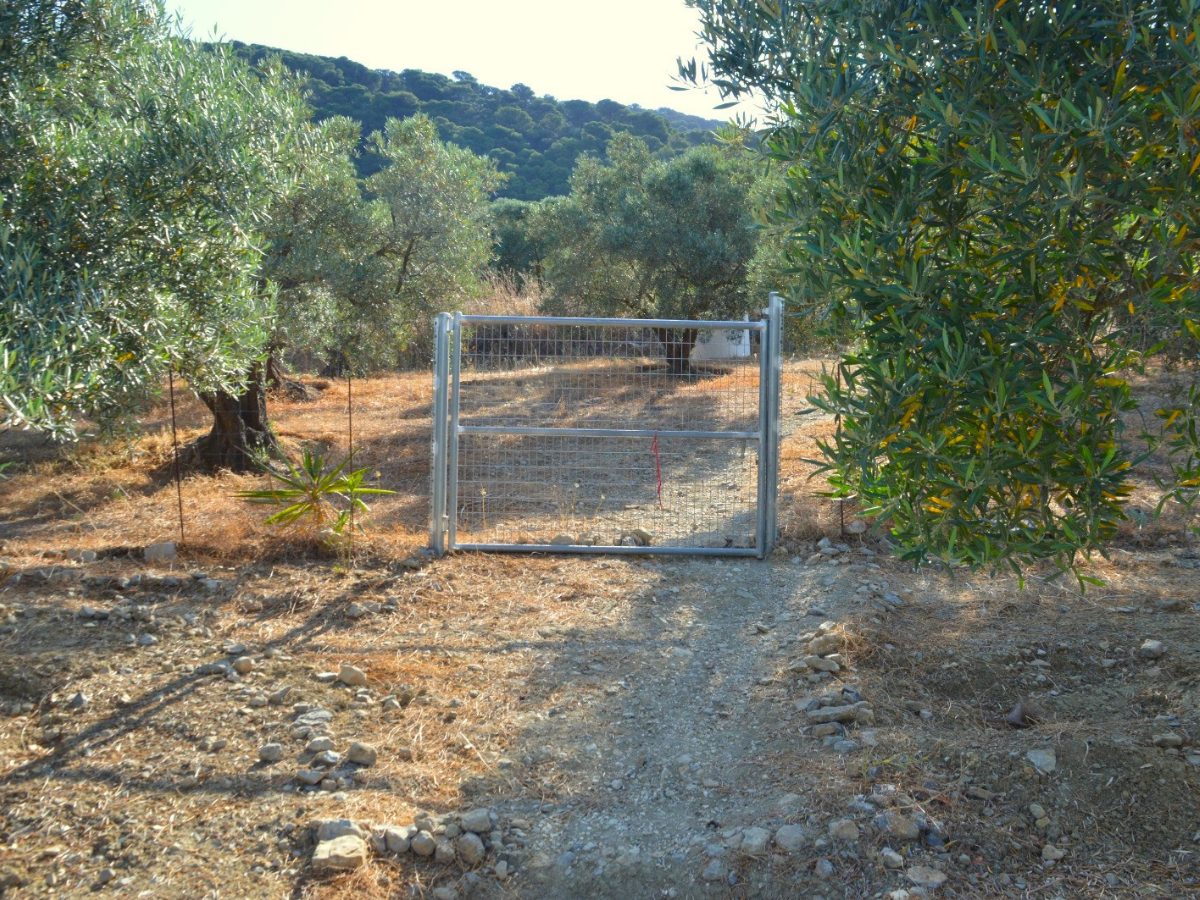 PROPIEDADES H - TITULO (21)