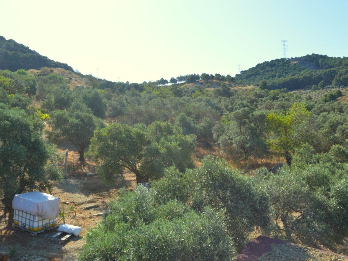 PROPIEDADES H - TITULO (23)