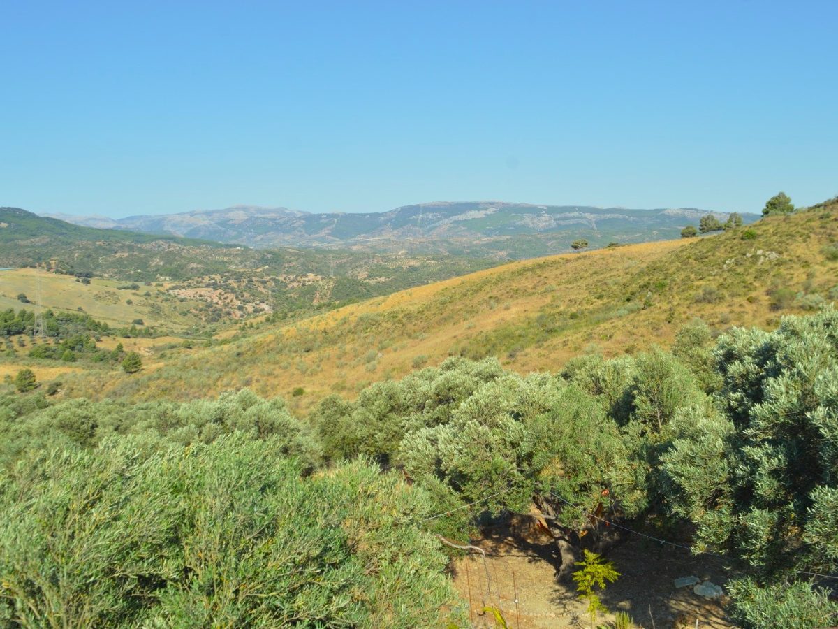 PROPIEDADES H - TITULO (24)