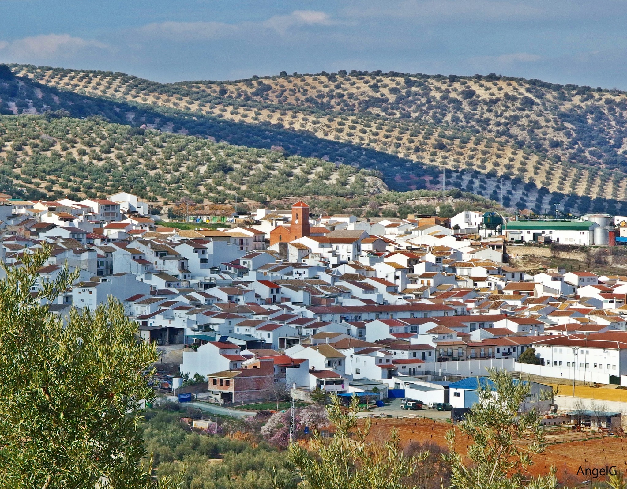 622278576_1326701919491410_7583344608111264891_n