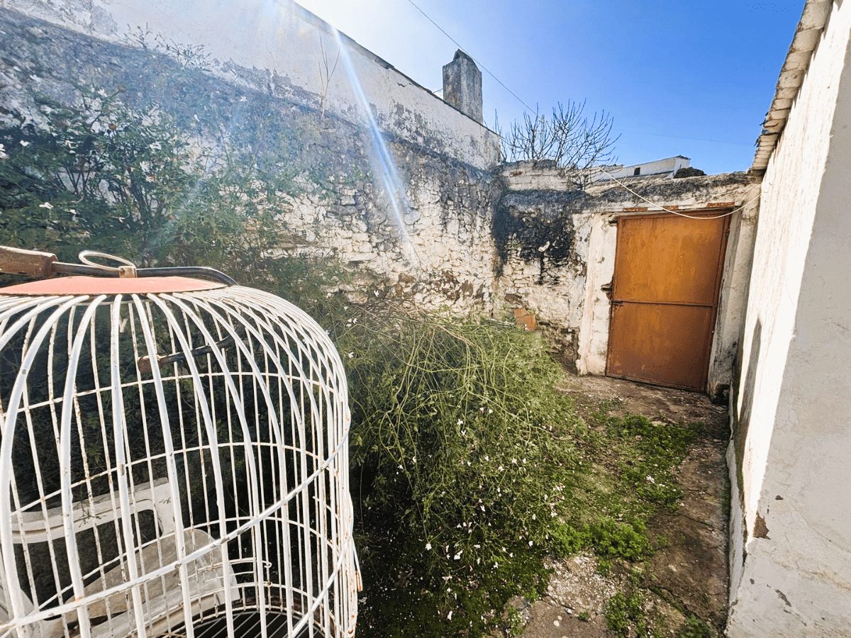 PROPIEDADES H - TITULO (18)