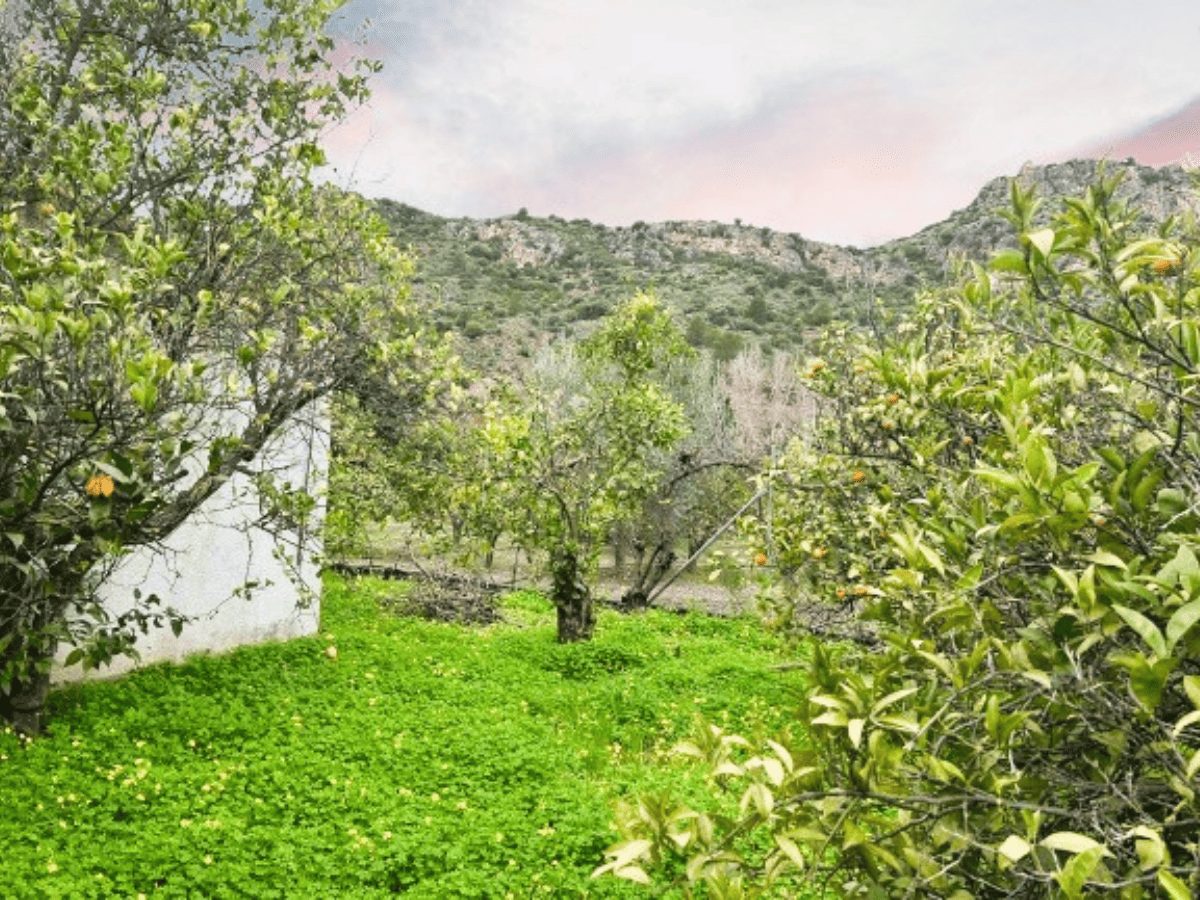 PROPIEDADES H - TITULO (20)