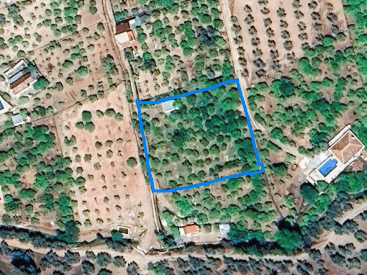 PROPIEDADES H - TITULO (24)