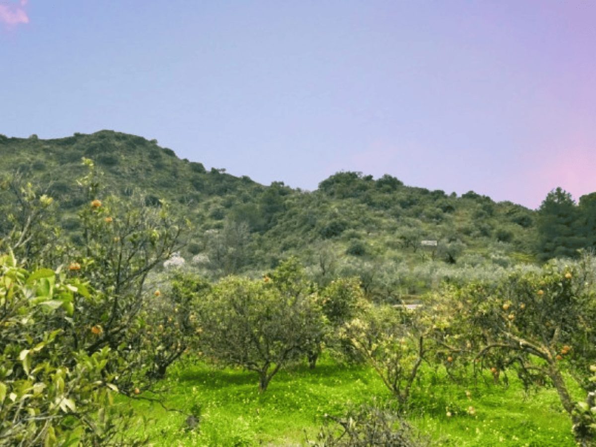 PROPIEDADES H - TITULO (25)