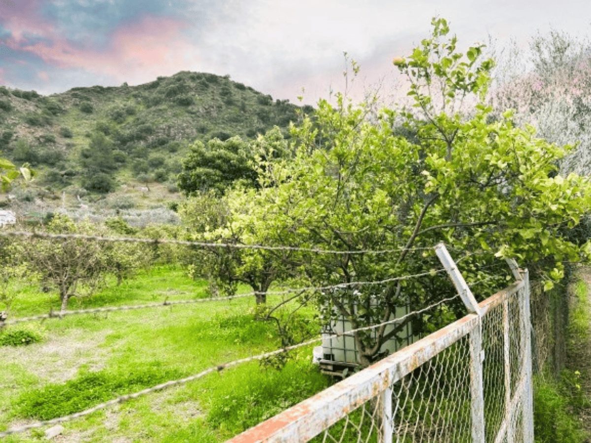 PROPIEDADES H - TITULO (26)