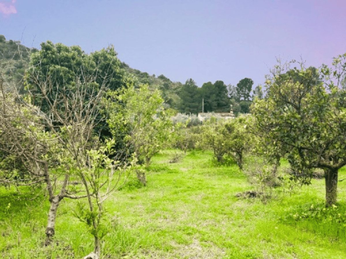 PROPIEDADES H - TITULO (27)