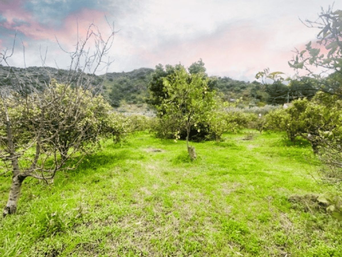 PROPIEDADES H - TITULO (28)