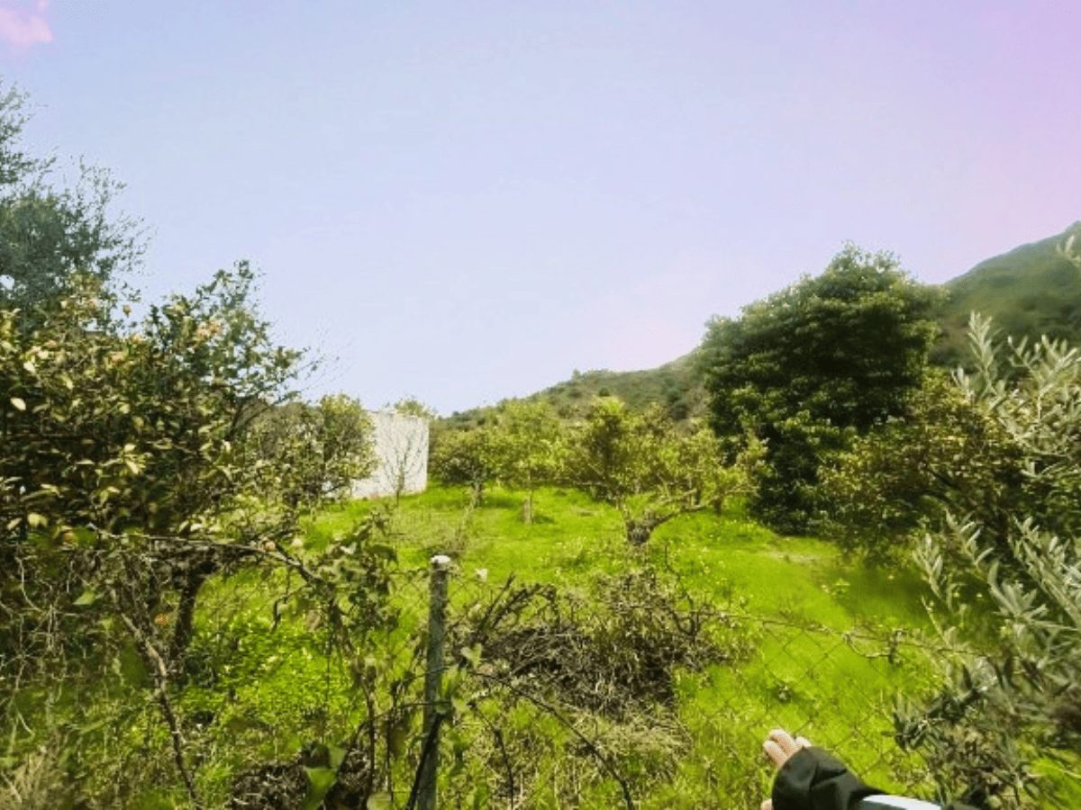 PROPIEDADES H - TITULO (32)